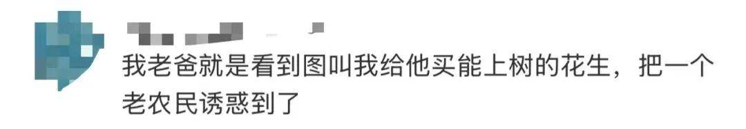 “花生上树”闹剧：AI翻车背后<strong></p>
<p>原油期货价格走势</strong>，我们都在弄丢常识？