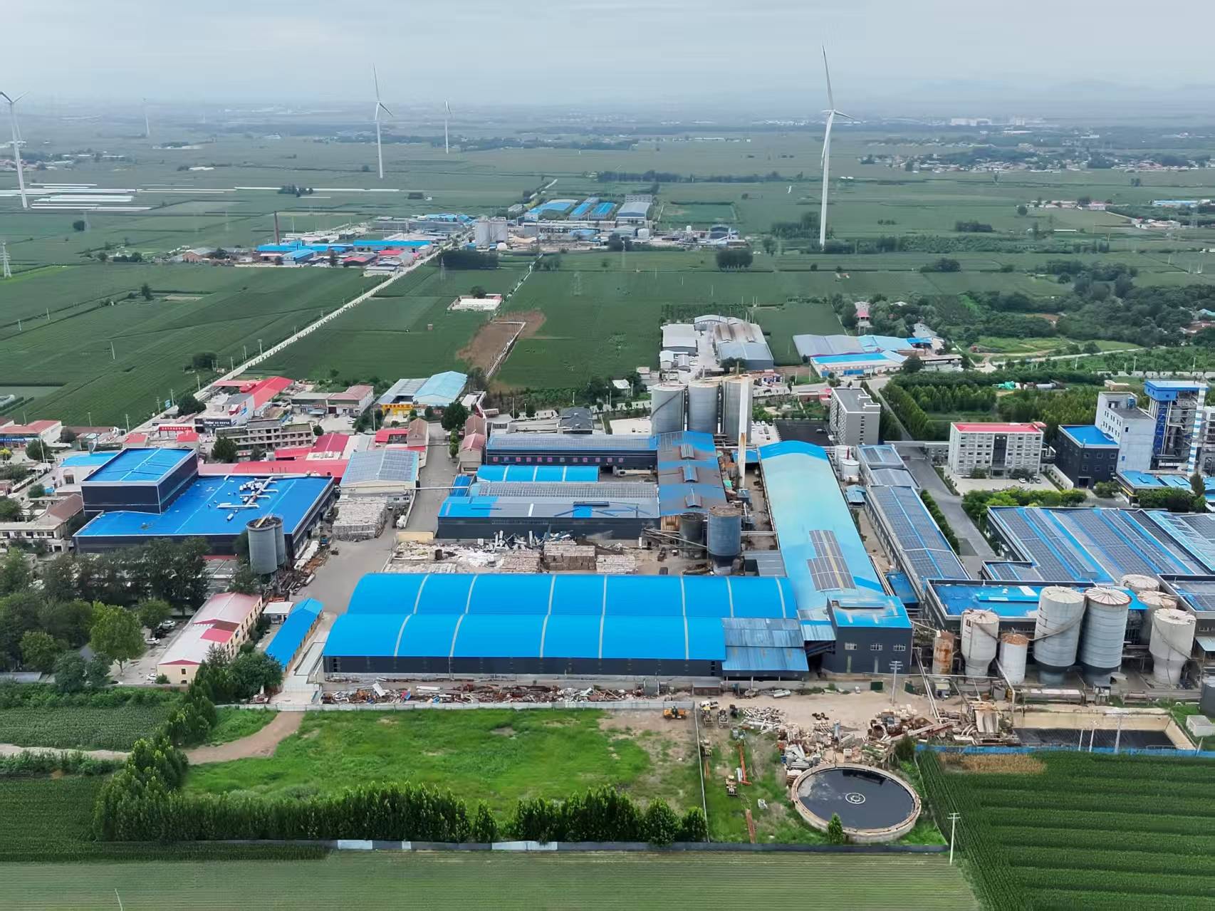 河北柏乡:造纸厂污水外排大片农作物致死引关注<strong></p>
<p>原油期货价格走势</strong>！