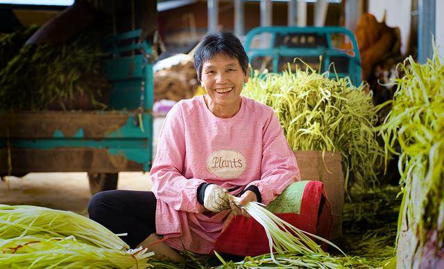 弥勒“新哨经验”<strong></p>
<p>原油期货价格走势</strong>，全州推广！