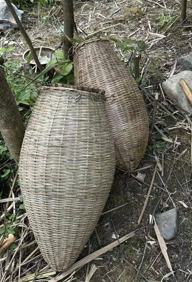 90后杨东东夺得荒野求生挑战赛冠军<strong></p>
<p>原油苯</strong>,每顿饭都会吃点老鼠,获10万奖金,比赛前后对比照曝光