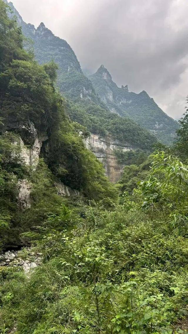 90后杨东东夺得荒野求生挑战赛冠军<strong></p>
<p>原油苯</strong>,每顿饭都会吃点老鼠,获10万奖金,比赛前后对比照曝光