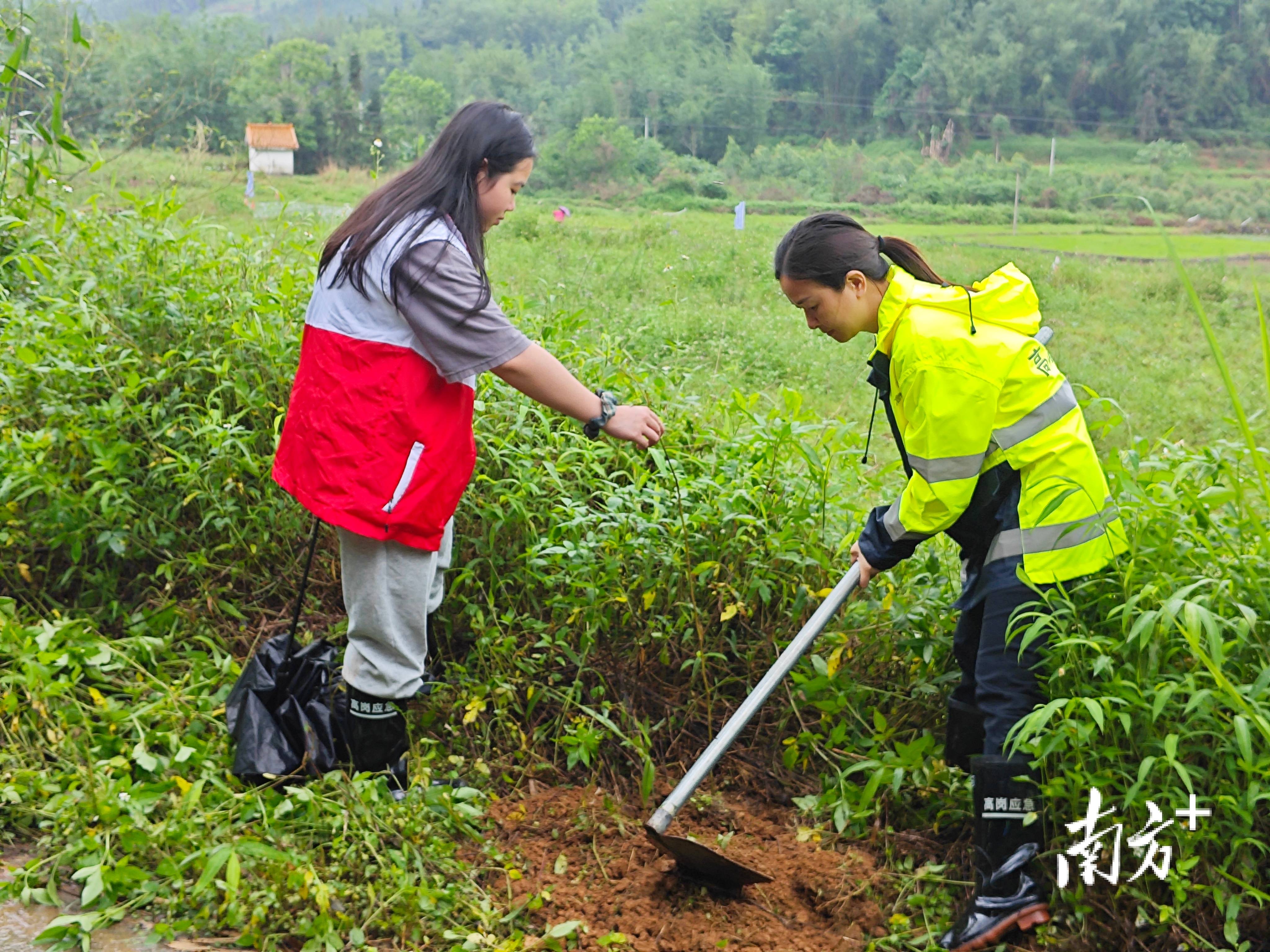 “外来媳妇”谭焕贞五年深耕<strong></p>
<p>石蜡基原油</strong>,佛冈高岗宝山村换新貌