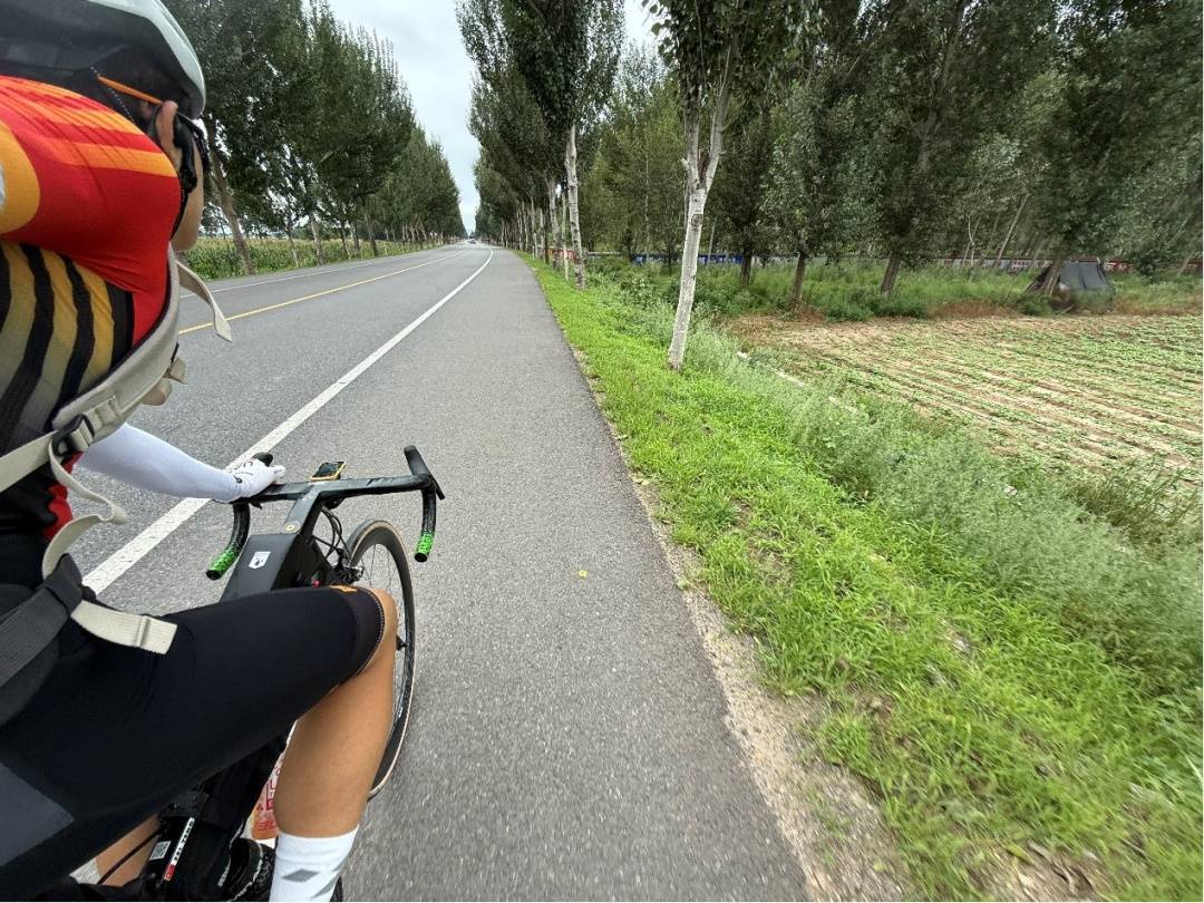 厉害了<strong></p>
<p>爬虫</strong>!沈阳少年独自骑行1850公里去武汉上大学