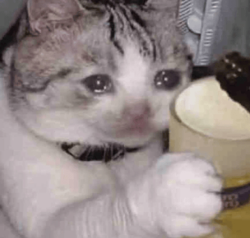 “不亚于春节回家”!凌晨5点<strong></p>
<p>充电</strong>,深圳有人已经堵在路上……