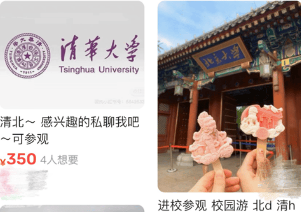 清华大学两教职工当“黄牛”被拘 参观门票被黄牛炒至上千元