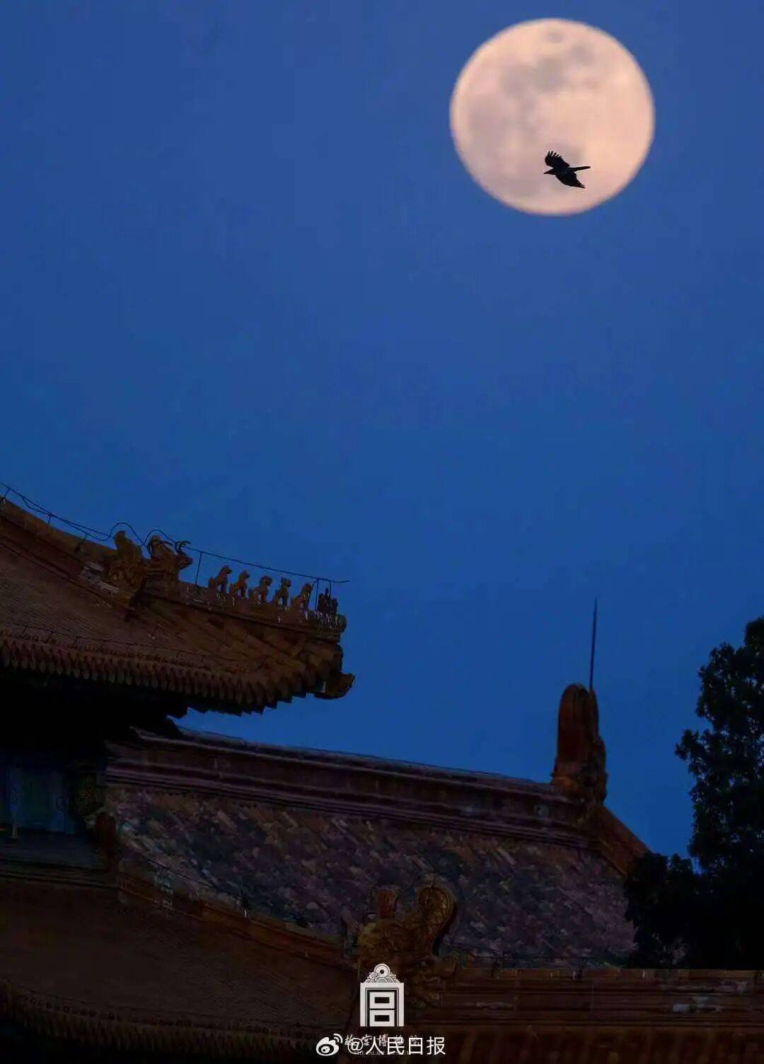 国庆、中秋假日期间天气预报新鲜出炉<strong></p>
<p>充电</strong>!