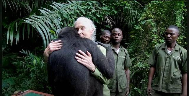 “课本上的传奇”<strong></p>
<p>php</strong>，走了