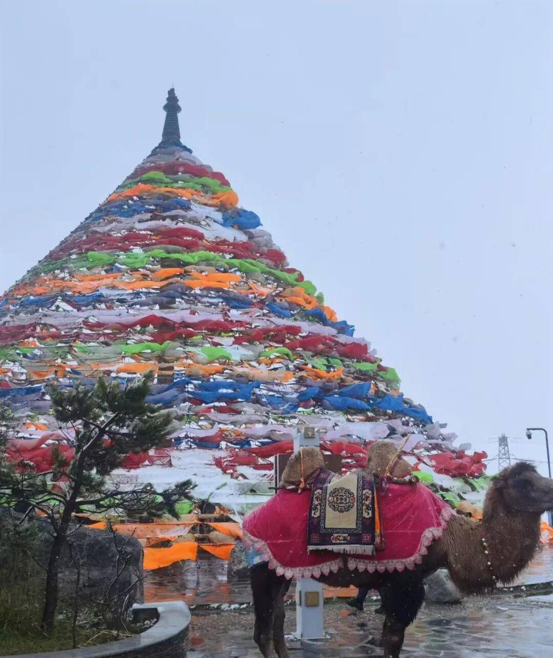 多地突降大雪<strong></p>
<p>php</strong>!