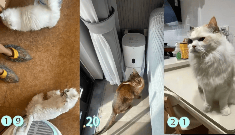 这个需求激增!一男子连接270单<strong></p>
<p>XRP行情</strong>,其中一笔收费8100元