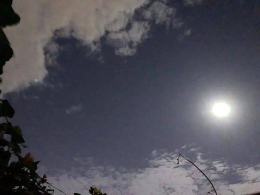 没有什么能阻挡!今天<strong></p>
<p>XRP行情</strong>,广西人就是要回家!