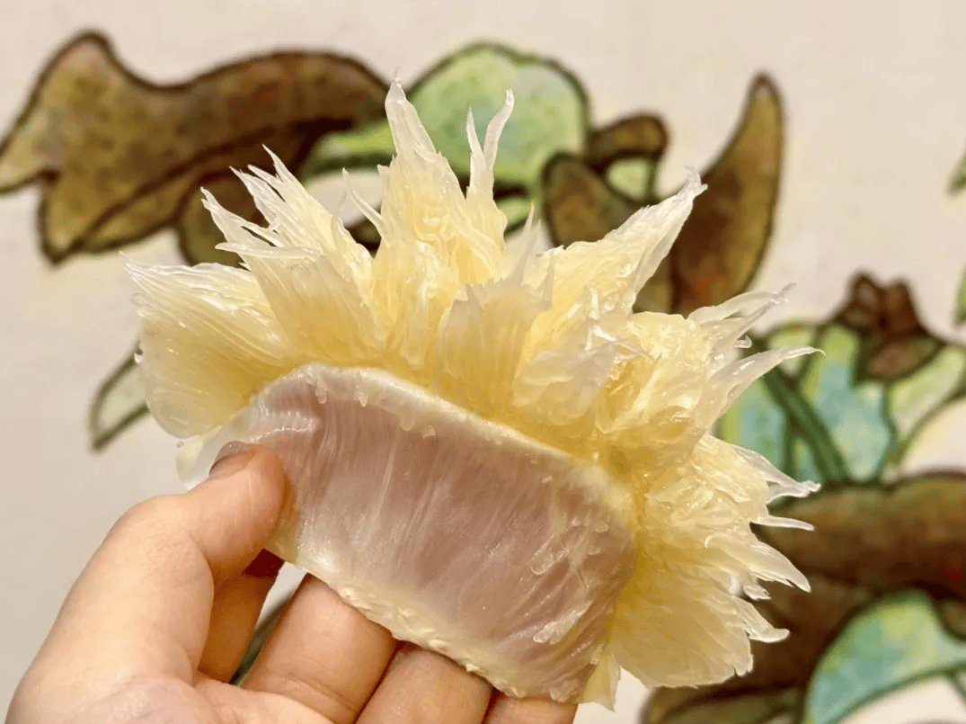 没有什么能阻挡!今天<strong></p>
<p>XRP行情</strong>,广西人就是要回家!