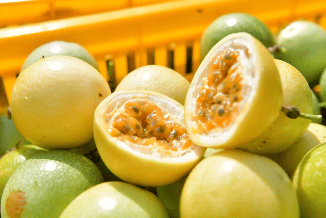 没有什么能阻挡!今天<strong></p>
<p>XRP行情</strong>,广西人就是要回家!