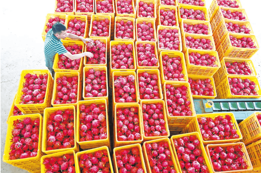 没有什么能阻挡!今天<strong></p>
<p>XRP行情</strong>,广西人就是要回家!