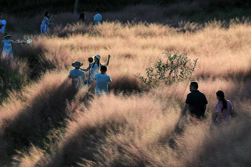 打卡拍照<strong></p>
<p>瑞波币行情</strong>,再美也不能用生命对焦