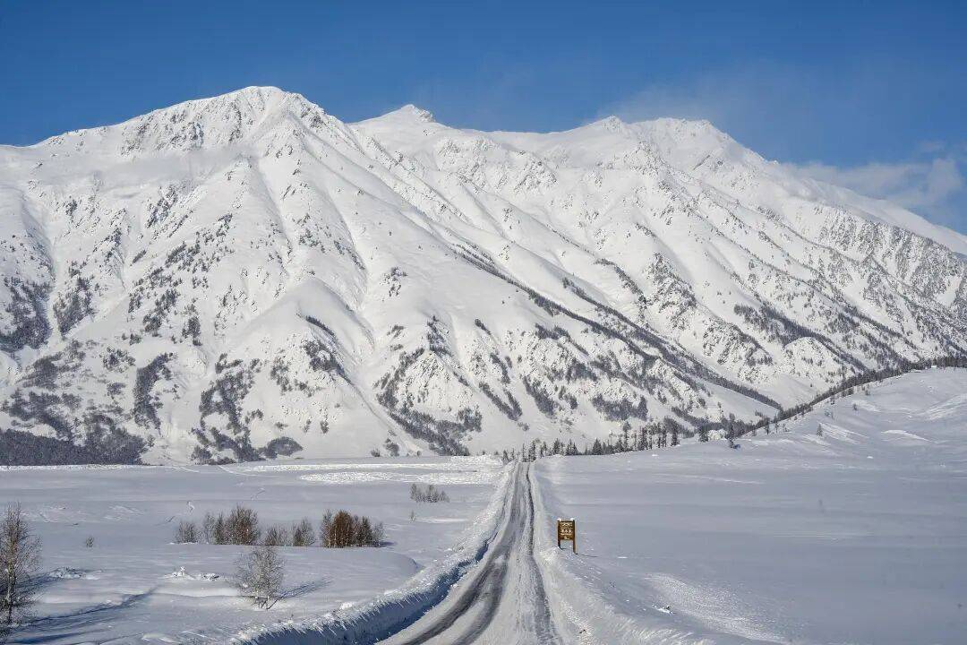 紧急公告:违规擅入<strong></p>
<p>DOT行情</strong>,救援费用自行承担!