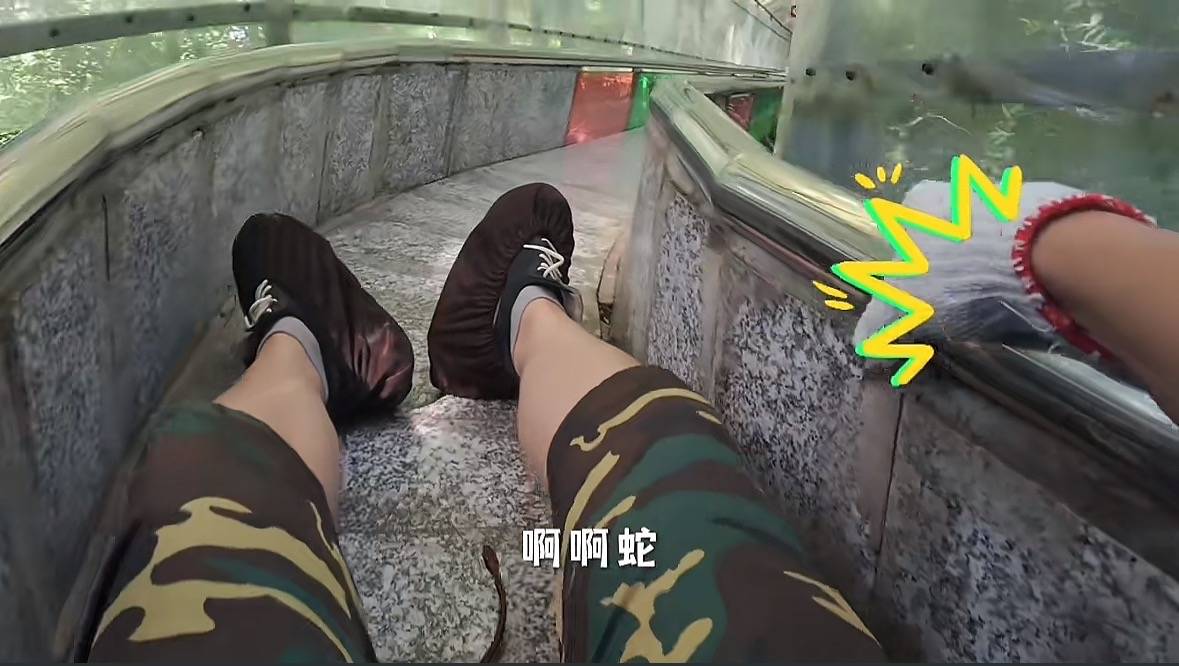 游客称在广西丹炉山滑道遇蛇<strong></p>
<p>波卡币行情</strong>,景区致歉:这么多年就这一次,每年都做防蛇处理