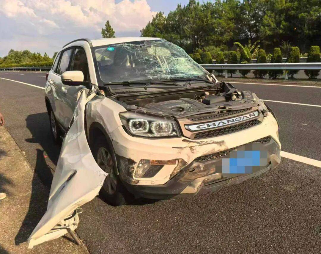 “我撒谎天打雷劈!”男子高速突然强行变道致翻车<strong></p>
<p>币安币行情</strong>,反诬赖对方