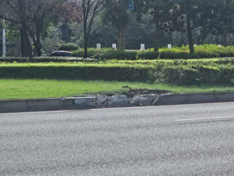 成都发生一起严重交通事故<strong></p>
<p>BNB行情</strong>,上游新闻实地探访:燃烧留下的印记仍在