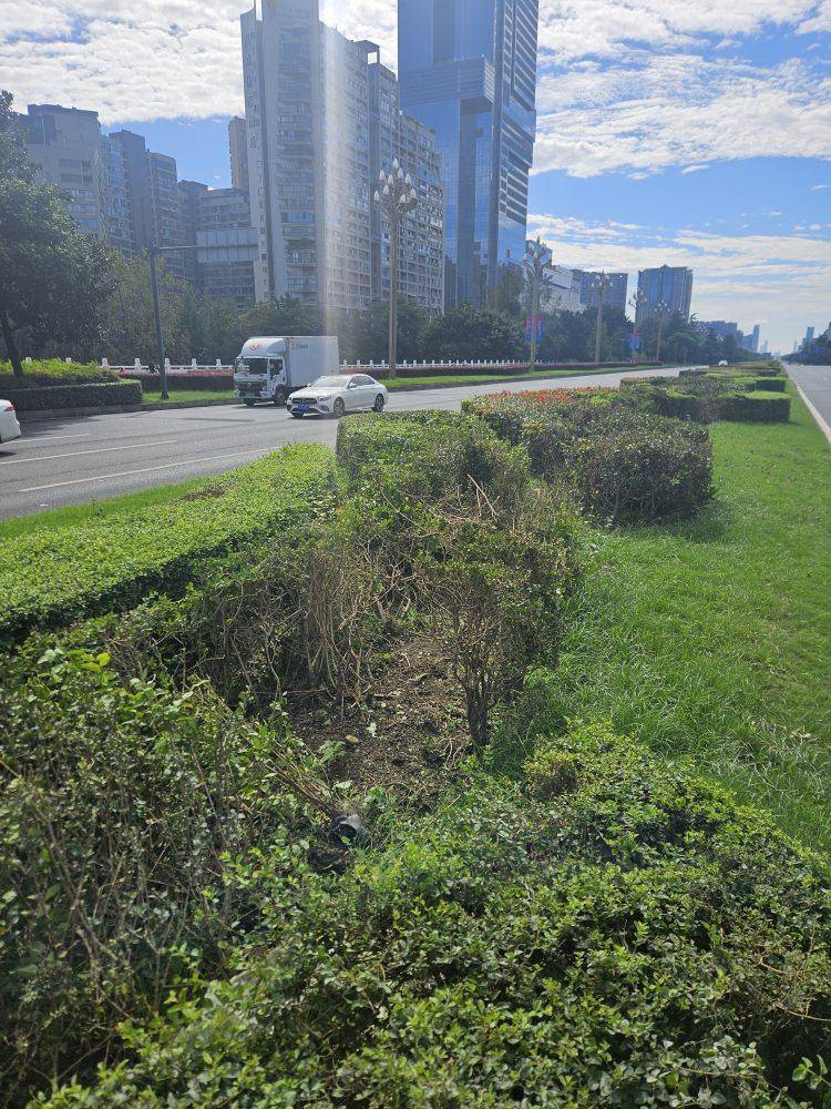 成都发生一起严重交通事故<strong></p>
<p>BNB行情</strong>,上游新闻实地探访:燃烧留下的印记仍在