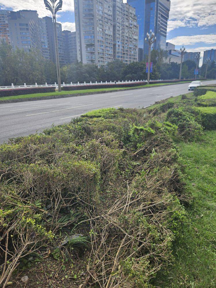 成都发生一起严重交通事故<strong></p>
<p>BNB行情</strong>,上游新闻实地探访:燃烧留下的印记仍在