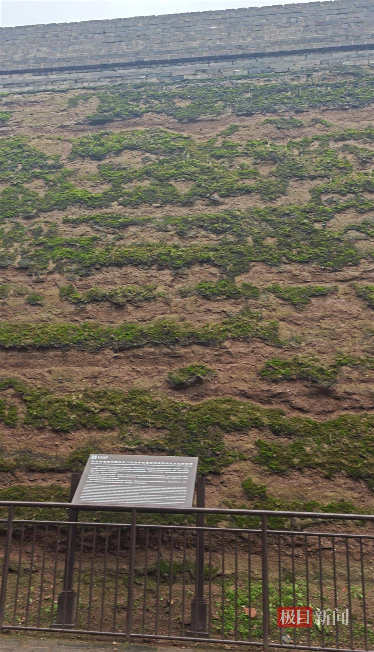 西安连续一个多月降雨遍地长蘑菇<strong></p>
<p>BNB行情</strong>,大雁塔受潮,城墙布满青苔,气象局解释成因