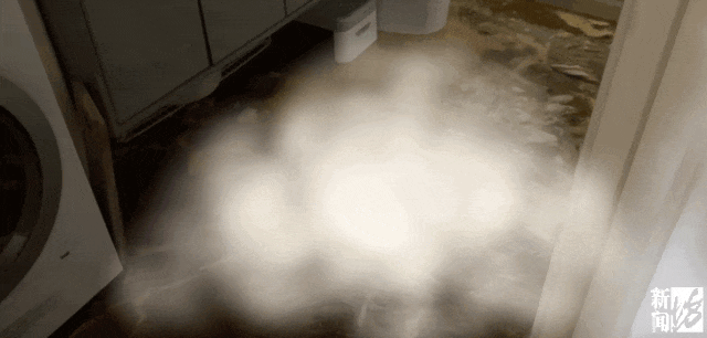 上海一业主推开家门瞬间懵了<strong></p>
<p>BNB行情</strong>!精装房竟成“化粪池”……