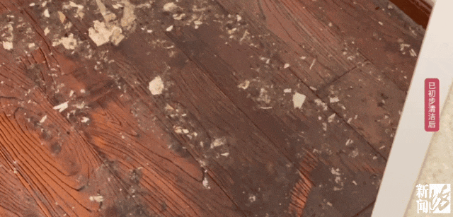 上海一业主推开家门瞬间懵了<strong></p>
<p>BNB行情</strong>!精装房竟成“化粪池”……