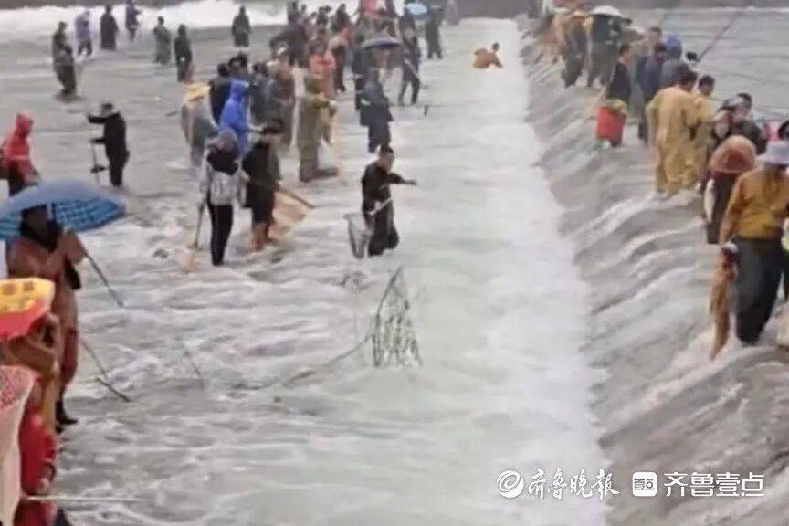 “鱼多得数不过来<strong></p>
<p>币安币行情</strong>，一网子下去能捞好几条”济南锦绣川水库开闸放水，大量鲢鱼被冲出，工作人员：禁止捕捞！