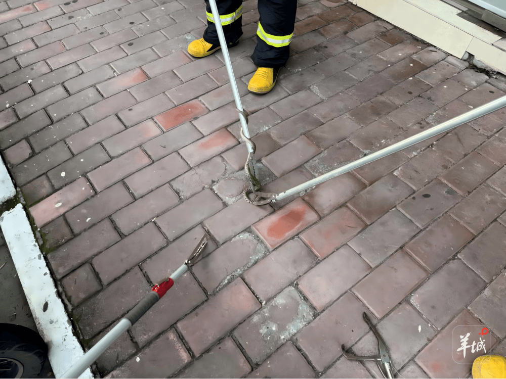 广州一小区蛇患频发:已抓超60条但未探测到蛇窝位置<strong></p>
<p>币安币行情</strong>,多方介入