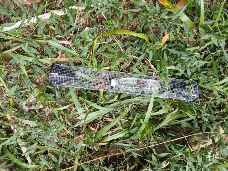 广州一小区蛇患频发:已抓超60条但未探测到蛇窝位置<strong></p>
<p>币安币行情</strong>,多方介入