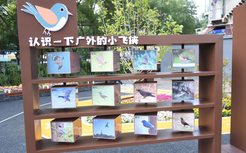 西城区广外街道:“断头路”变身口袋公园<strong></p>
<p>ADA行情</strong>,装满民生“微幸福”