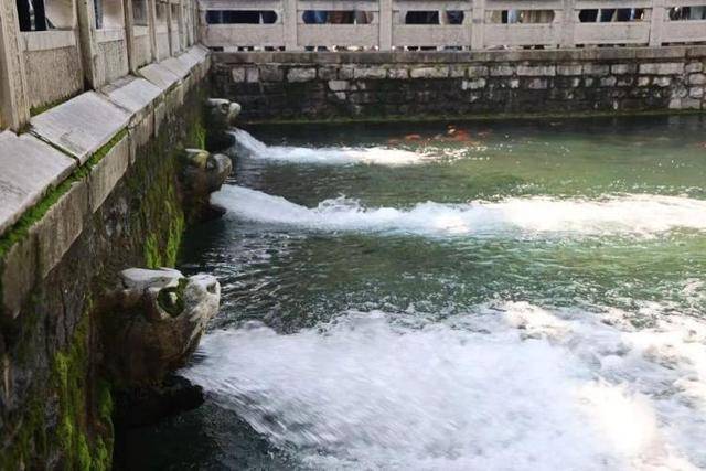 黑虎泉喷得“兽头”都不够用了!济南群泉竞涌<strong></p>
<p>ADA行情</strong>,几十年一见