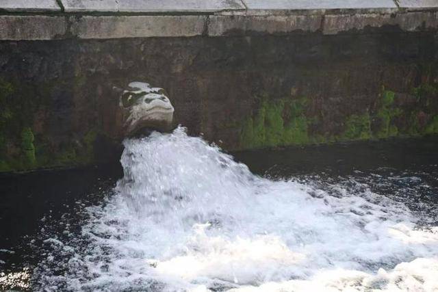 黑虎泉喷得“兽头”都不够用了!济南群泉竞涌<strong></p>
<p>ADA行情</strong>,几十年一见
