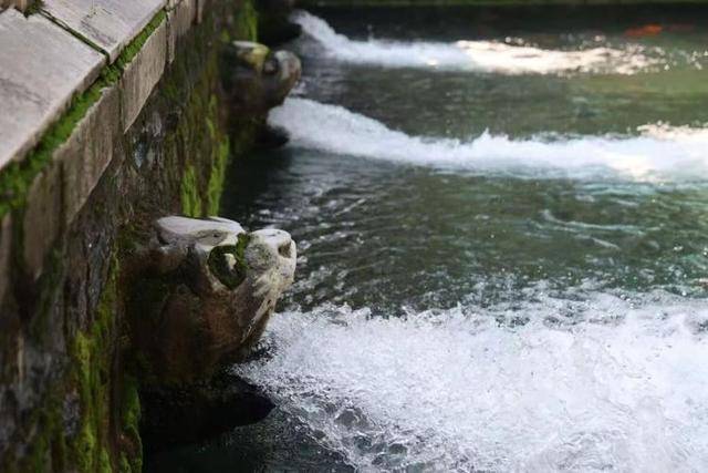 黑虎泉喷得“兽头”都不够用了!济南群泉竞涌<strong></p>
<p>ADA行情</strong>,几十年一见