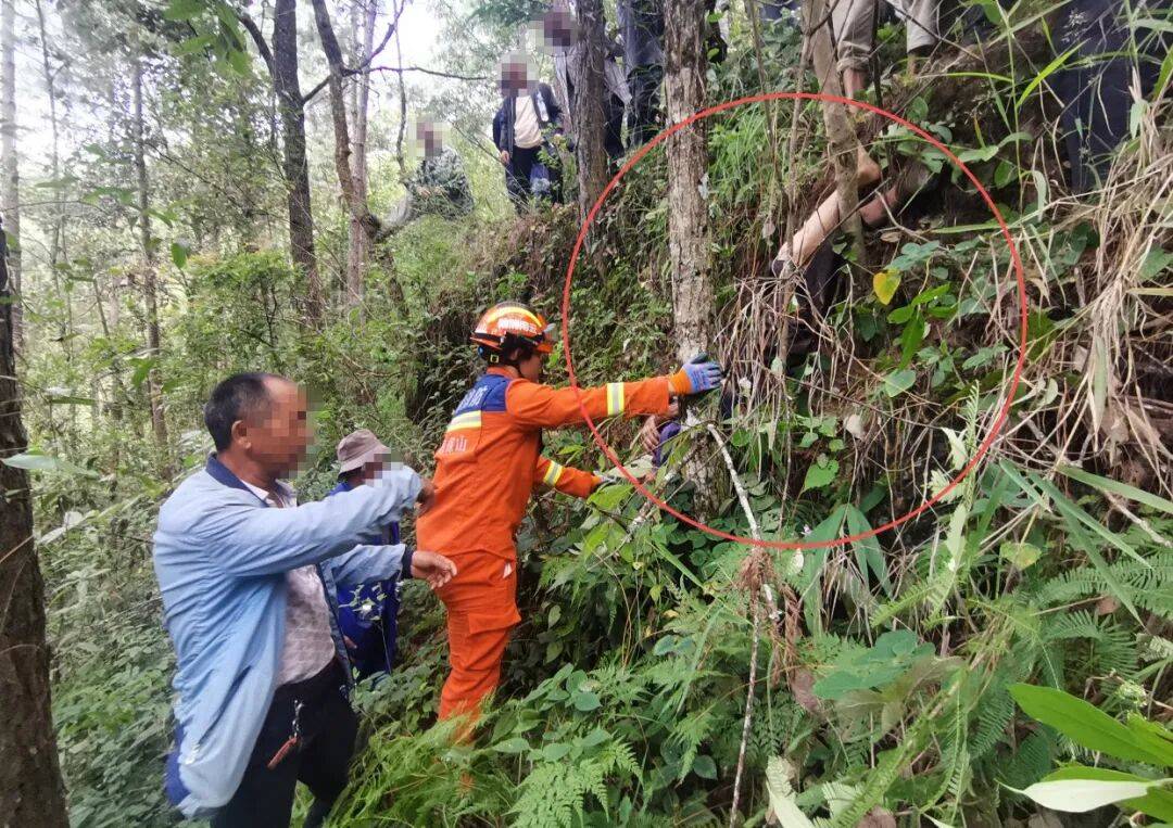 93岁老人进山失联<strong></p>
<p>ADA行情</strong>,两天后发现他倒挂在树杈上苦撑……