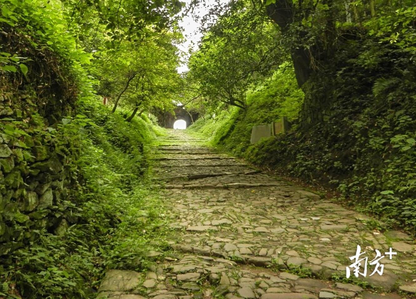 张九龄之妻墓现身西安<strong></p>
<p>ADA行情</strong>,“岭南第一人”在岭南还留下这些踪迹