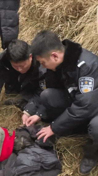 辽宁4岁女童称睡醒后自行下车<strong></p>
<p>BCH行情</strong>,迷路后睡在草地,期间无人接触;其母发声