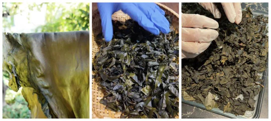 被万亿巨头忽略的赛道<strong></p>
<p>比特现金行情</strong>，却受年轻人追捧，有公司年销70亿