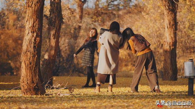 金秋10月昌吉胡杨林进入最佳观赏期