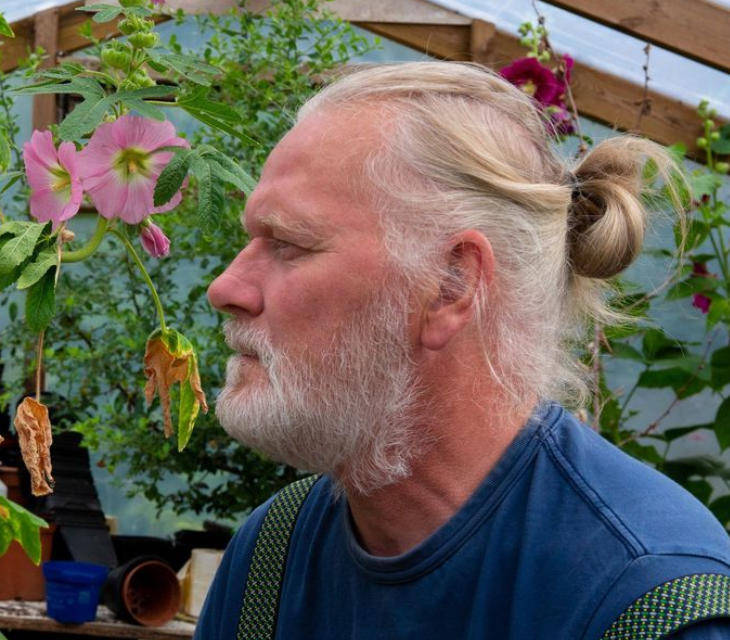 两只雌蚊和一只雄蚊被发现<strong></p>
<p>LTC行情</strong>，全球最后一个无蚊国冰岛“沦陷”