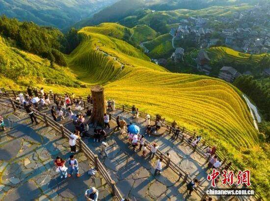 金秋<strong></p>
<p>LTC行情</strong>,广西的梯田一点不输!