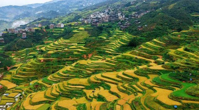 金秋<strong></p>
<p>LTC行情</strong>,广西的梯田一点不输!