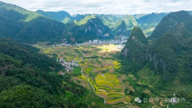 金秋<strong></p>
<p>LTC行情</strong>,广西的梯田一点不输!