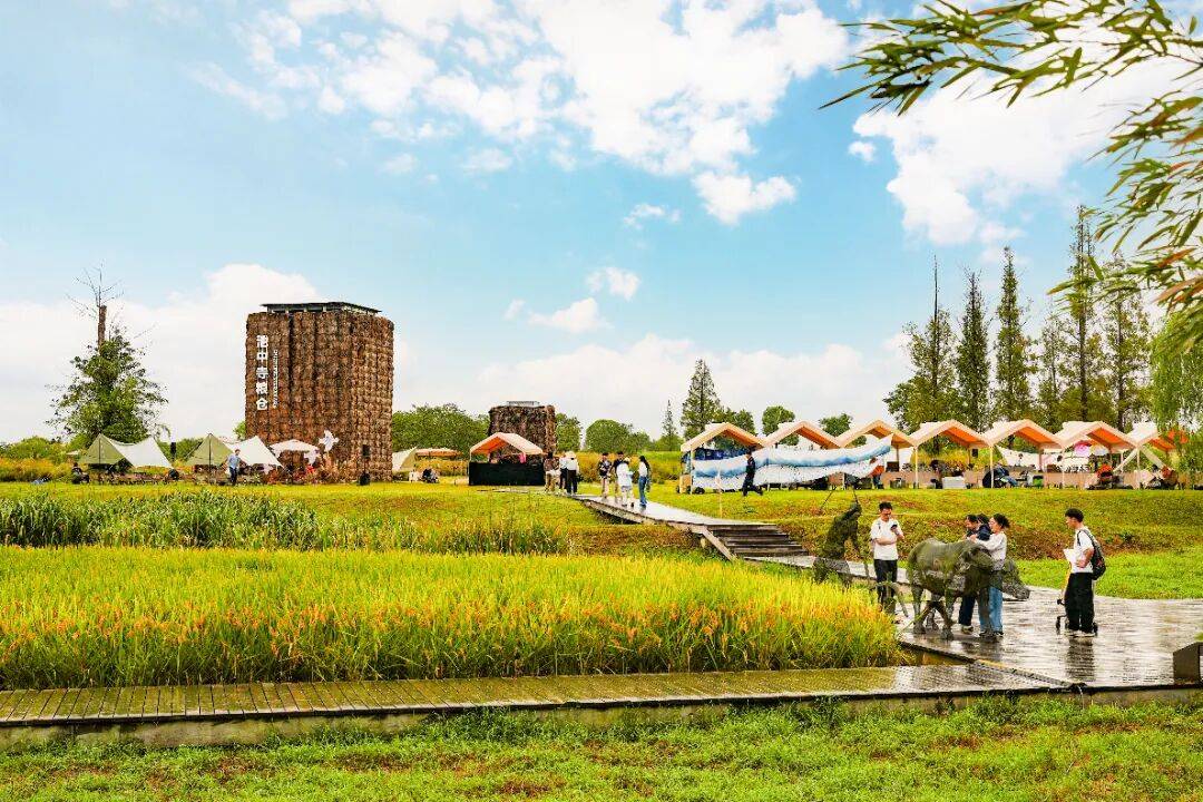 良渚遇“稻”<strong></p>
<p>LTC行情</strong>你 | 秋季活动正当时