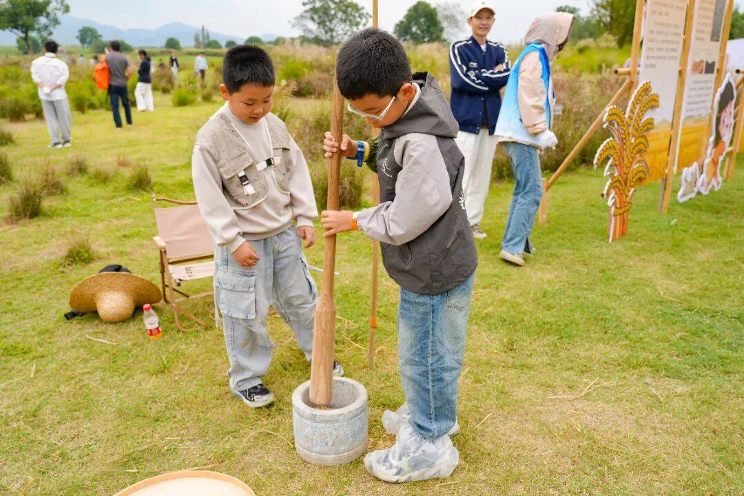 良渚遇“稻”<strong></p>
<p>LTC行情</strong>你 | 秋季活动正当时