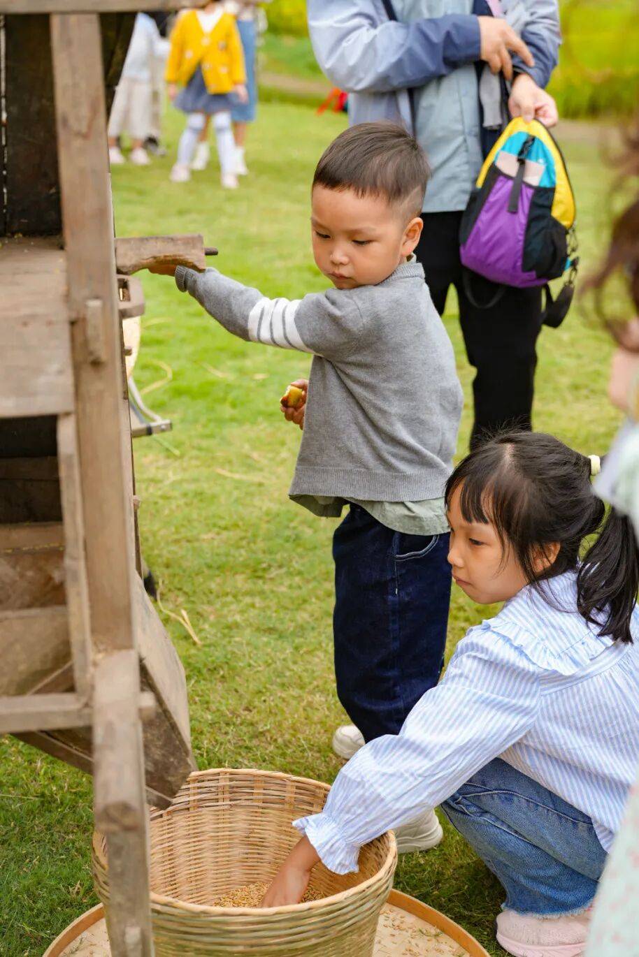 良渚遇“稻”<strong></p>
<p>LTC行情</strong>你 | 秋季活动正当时