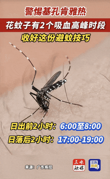 涉学校、公园、城中村<strong></p>
<p>LTC行情</strong>!深圳官方最新公布“黑窝点”