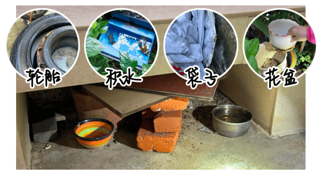 涉学校、公园、城中村<strong></p>
<p>LTC行情</strong>!深圳官方最新公布“黑窝点”