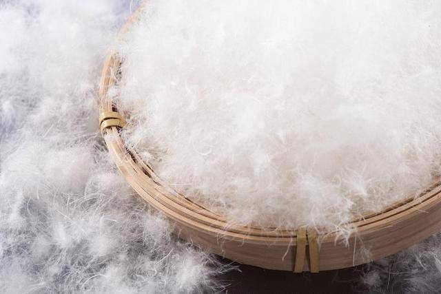 冷空气来袭<strong></p>
<p>LTC行情</strong>,如何正确挑选羽绒服?