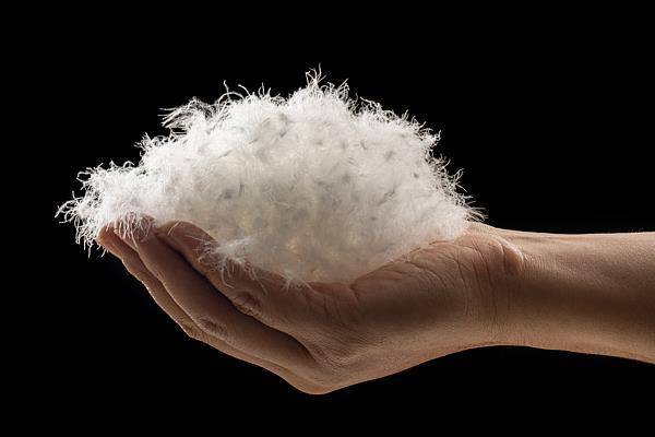 冷空气来袭<strong></p>
<p>LTC行情</strong>,如何正确挑选羽绒服?